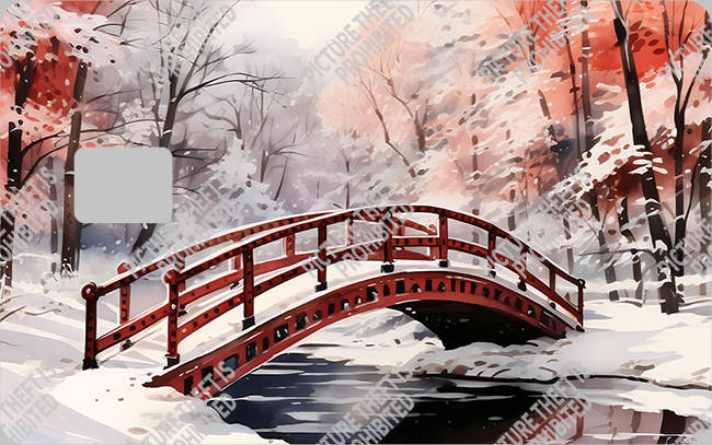 Bank  Card Sticker-BC-2771